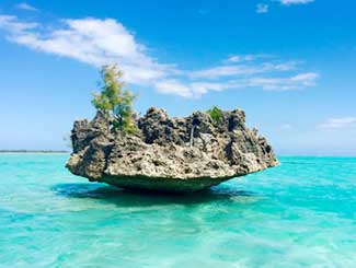 Island Tours in Mauritius